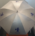 Зонт от дождя DeBeer/Valspar